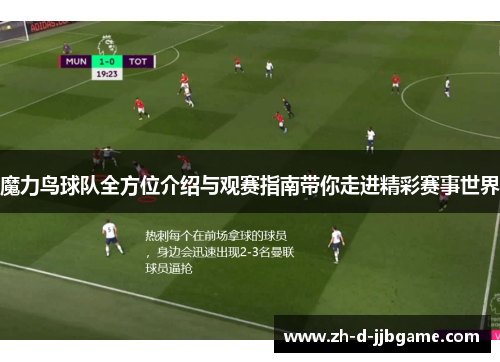 魔力鸟球队全方位介绍与观赛指南带你走进精彩赛事世界